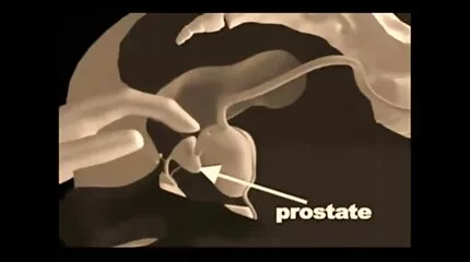 Fucks ในตูดกับผู้ดำเนินการ วิดีโอ โป
